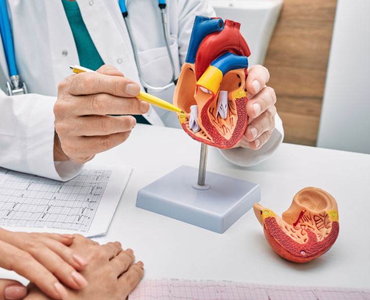 ardiothoracic Surgery (3)