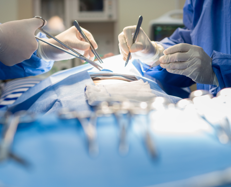 Untitled design - 2025-01-19T225300.881